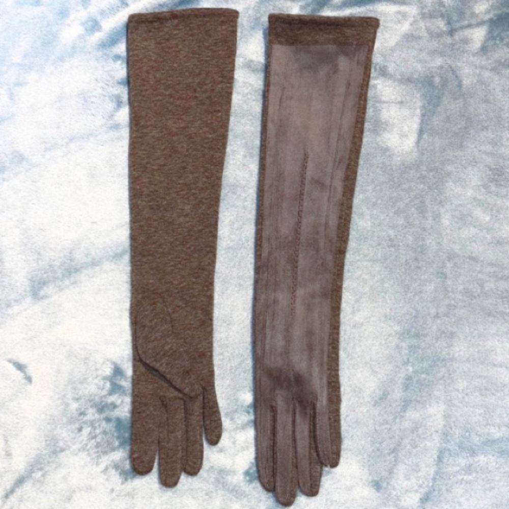 Opera-Length Gray Gloves